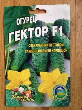 Насіння Огірок Гектор F1 30шт