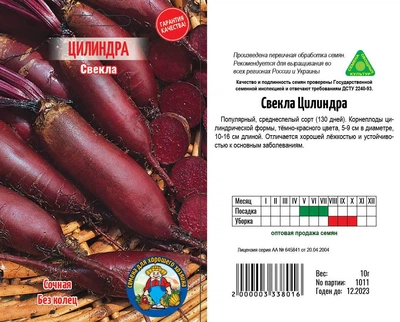 Насіння Буряк Цилиндра 10