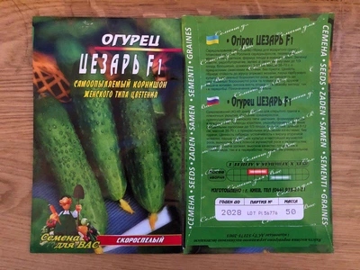 Насіння Огірок Цезарь 50шт