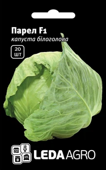Насіння КАПУСТА ПАРЕЛ 20шт.