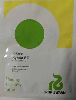 Насіння ОГІРОК КІБРІЯ 10ШТ Rijk Zvaan 10шт