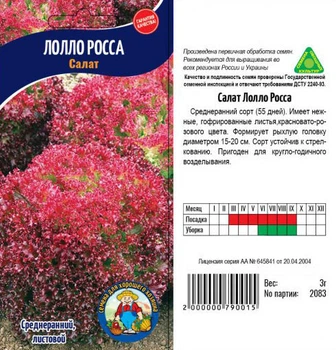 Насіння Салат ЛОЛЛО-РОССА – 3 г