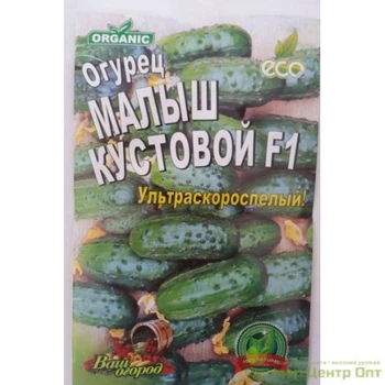 Насіння Огірок Малыш кустовой F1 30шт