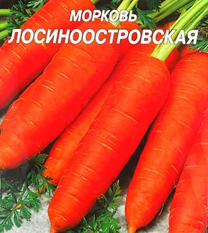 Насіння Морква Лосиноостровская - 3гр.