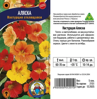 Насіння Настурция Аляска - 5шт