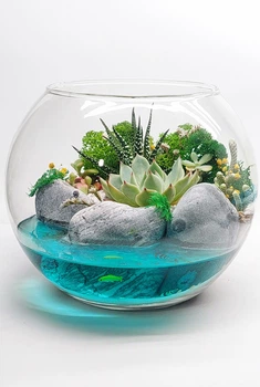 Круглий флораріум "Літо" з живими сукулентами та водоймою, діаметр 18 см