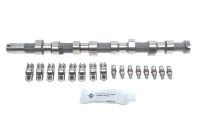 Розподільний вал Citroen Berlingo/Peugeot Partner/Boxer 2.0 HDi 99-, DW10TD, 66kw (к-кт) 428003430 , Schaeffler INA