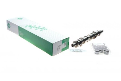 Комплект распредвала VW Caddy III/T5 1.9 TDI 04-10 428003930 , Schaeffler INA