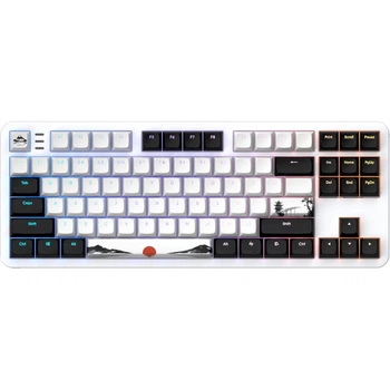Клавіатура Dark Project ALU87 Fuji V2 USB RGB White/Black