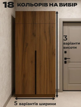 Шкаф распашной двухдверный узкий высокий современный стильный с антресолью до потолка глубиной 45 см для верхней одежды в прихожую коридор гостиную зал на балкон ЛДСП Элегант №1 Киевский Стандарт 80х45х250 см