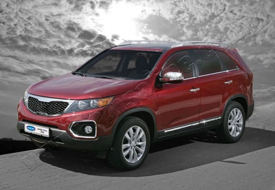 Накладки хромовані на молдинги дверей (4шт, нерж) Kia Sorento 2010-, OmsaLine 4013131