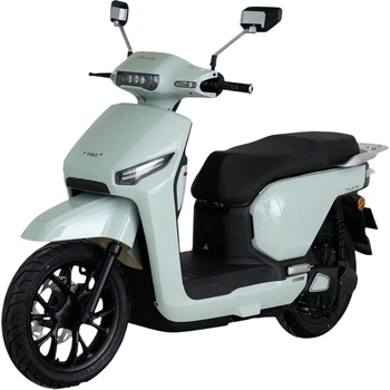 Электроскутер Tailg T-80 GR-709 Mint [172337]