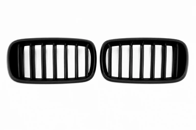 Ноздри 1 полоса для BMW X6 F16 2014-2019 (черный матовый)