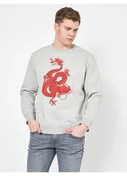 Світшот на флісі H&M XXL Сірий 0715273_черв.дракон