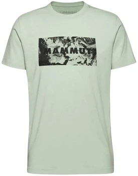 Футболка Mammut Trovat T-Shirt Logo M silver sage