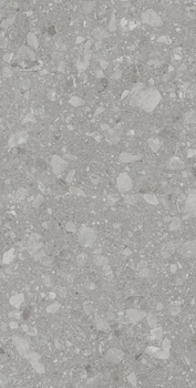 Керамогранітна плитка Allore Group Terra Grey F P R Mat 60x120