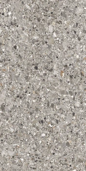 Керамогранітна плитка Allore Group Microterazzo Grey F P R Somat 60x120