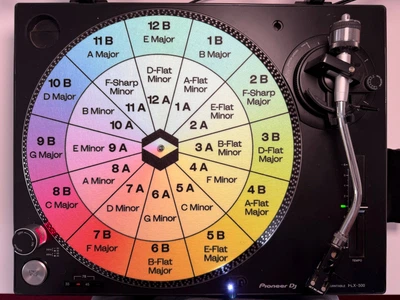 Сліпмат для вінілу SITWELL / CAMELOT WHEEL