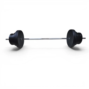 Штанга EVG-SPORT 45 кг