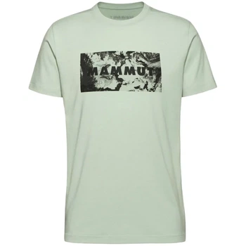 Футболка Mammut Trovat T-Shirt Logo M silver sage