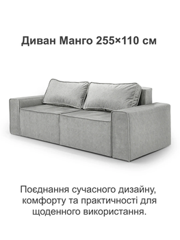 Диван Манго 255 × 110 см, велюр, світло-сірий