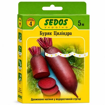 Свекла столовая Цилиндра (на ленте) Sedos 5 м