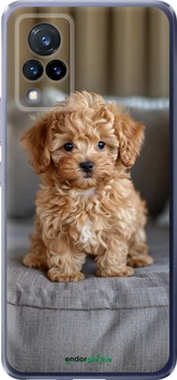 Чехол на Vivo V21 Mini-maltipoo "6158u-2368-70447"