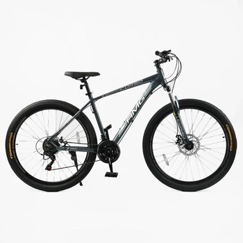 Велосипед гірський 29" Corso AMG рама 19" сірий