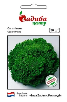 Салат листовой Илема, 30 шт., СЦ