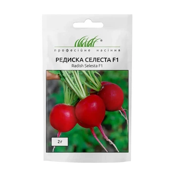 Редиска Селеста F1, 2 г