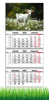 Календар настінний квартальний на 2027 рік на три пружини , Apriori, рік Кози, символ року 2027 , рік Вівці , 50 вид
