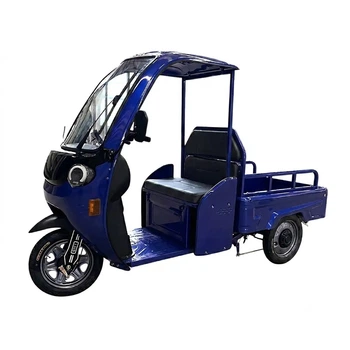 Трицикл грузовой аккумуляторный FORTE DW1200-1-1 Синий