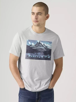 Футболка хлопковая длинная мужская Levi`s 749219726 L Серая (1161067222)