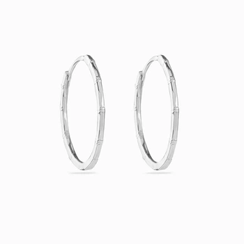 Сережки Срібна Мрія 4.60 г (00000000769)