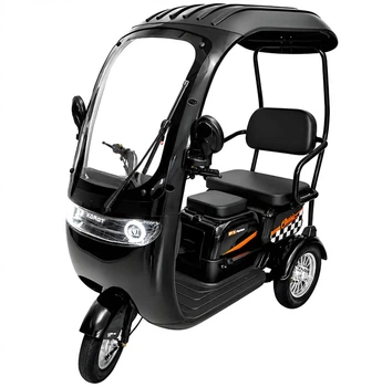 Трехколесный электротрайк TRIVARO COMFORT с крышей и дождевиком 800W
