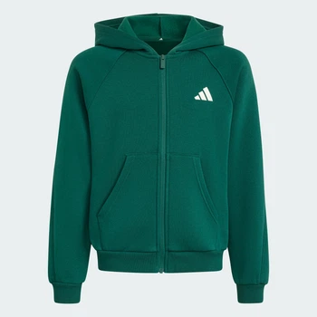 Дитяча толстовка Seasonals Collegiate Typography Junior adidas KS5142 (176) зелений (4069996340107)