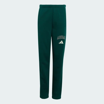 Детские джоггеры Seasonals Collegiate Typography Junior adidas KS5129 (164) зеленый (4069996402171)