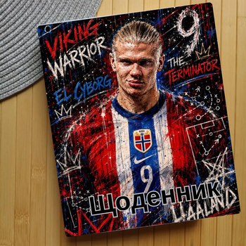 Дневник Ерлинг Холанн Erling Haaland (31560)