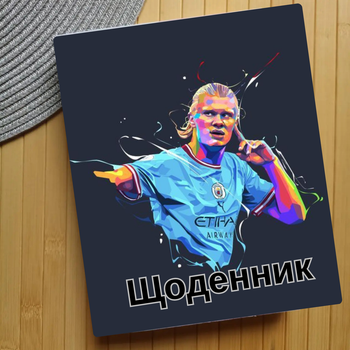 Дневник Ерлинг Холанн Erling Haaland (31557)