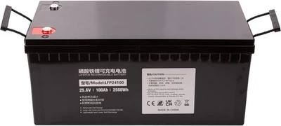 Аккумуляторная батарея PowerPlant LiFePO4 24V 100Ah (NV822447)