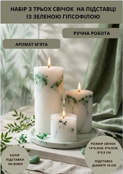 Свічки ароматичні парафінові набір свічок ароматичних арома свічка ручної роботи декоративні ароматизовані 3 шт на підставці з гілочками зеленої гіпсофіли аромат м'ята
