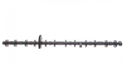 Вал эксцентриковый BMW X5 (E70) 3.0 N55/S55 07-13 Febi Bilstein 184958