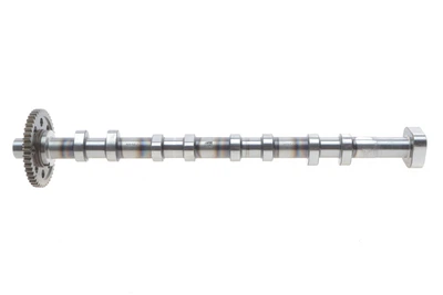 Распределительный вал Skoda Octavia / VW Golf VI / Passat 1.8 TSI 07-14 (сторона выпуска) Febi Bilstein 178379