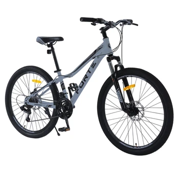 Велосипед гірський Forte WARRIOR 25.2412-04S, 24" з ручним керуванням, сірий