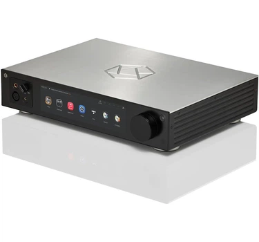 Сетевой стример Rose RS451