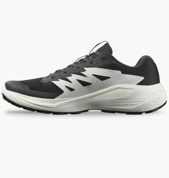 Кросівки Salomon Alphaglide Black L47801000 46