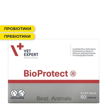 Харчова добавка VetExpert BioProtect для відновлення мікрофлори кишечника у котів і собак, 60 капсул (5907752658440)