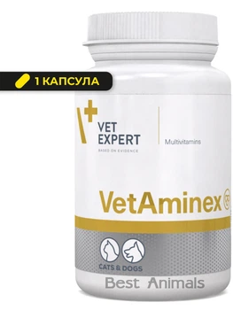 Харчова добавка (вітаміни) для імунітету котів і собак VetExpert VetAminex, 1 капсула (5902768346695)