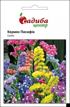 Насіння Кермек (Статица) Пасифік, суміш Hem Zaden 0,2 г
