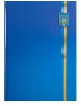 Книга А4 BUROMAX Клітинка 96 арк.